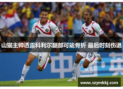 山猫主帅透露科利尔腿部可能骨折 最后时刻伤退